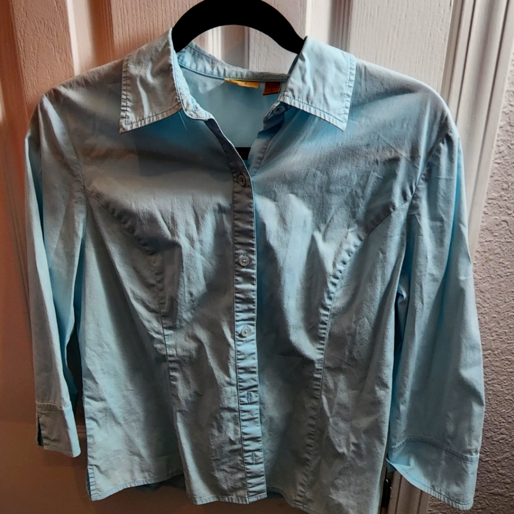 Calson Petite Button Down Blouse